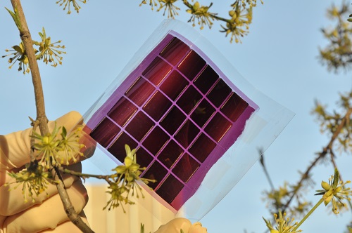 Flexible organic solar module