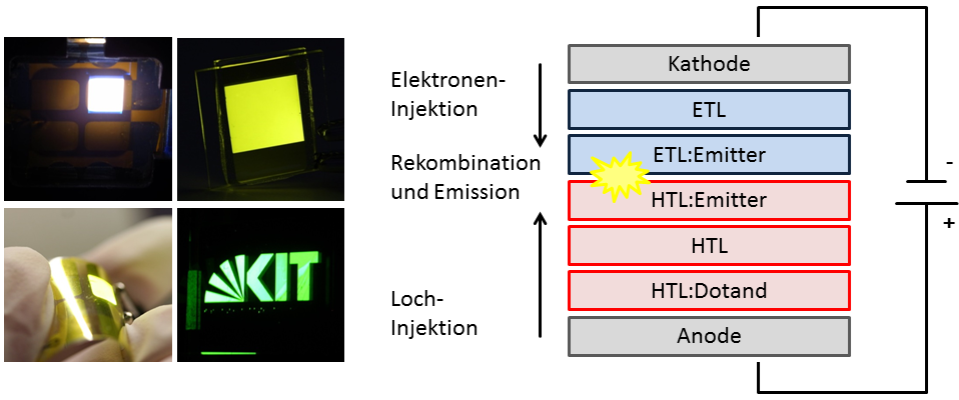 SFB-Projekt